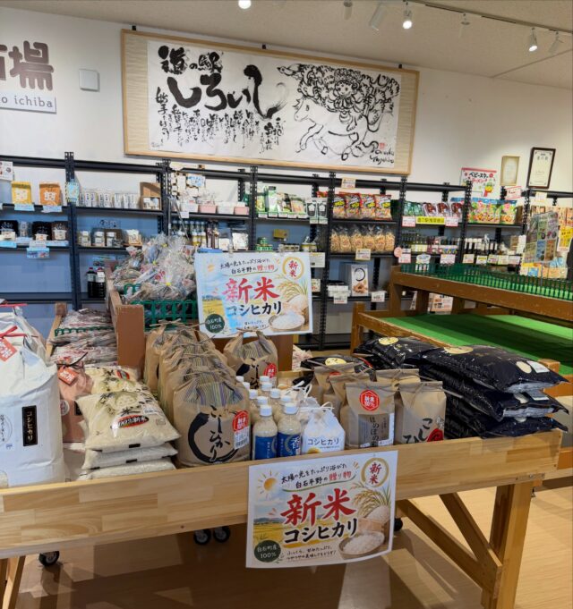 おはようございます☀️
8月26日（水）9時オープンしました！

新米コシヒカリの出荷量が減ってきました🌾お早目にご賞味ください😋

暑くなりそうです☀️🥵
体調管理に注意してお過ごしください😊

本日もご来店お待ちしてます😊

#道の駅しろいし