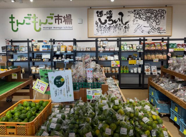 おはようございます☀
9月20日（日）9時オープンしました！
朝から多くのお客様にご来店いただきありがとうございます😊

今日からお彼岸です。
彼岸とは、日本の雑節の一つでお彼岸とも呼ばれる。仏教に由来する行事とされ、3月の「春の彼岸」と9月の「秋の彼岸」がある。
白石町内では、お彼岸の期間でお遍路さんが各地区を巡って来られます🙏🏻

台風の影響でしょうか？少し風が吹いてます🌪️ご来店の際は、車の開閉にご注意ください⚠️

本日もご来店お待ちしてます🙇‍♀️

#道の駅しろいし