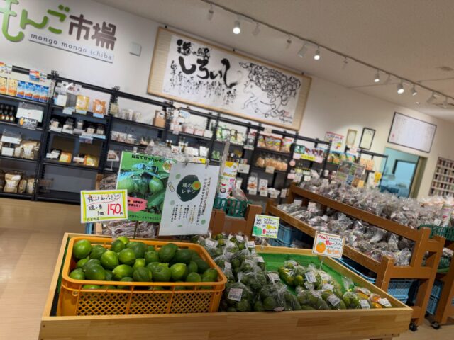 おはようございます😊
9月19日（土）9時オープンしましま！
シルバーウィークが始まりました✨
佐賀は明日から晴れの予報ですが、地域によっては台風の影響がありそうです🌀
ご注意ください！

シルバーウィークに向けて
【ハトシ】が出荷できました✨
いつから販売？と多くの声をいただきありがとうございます😊
手作りなのでご了承ください🙏🏻

本日もご来店お待ちしてます😊

#道の駅しろいし