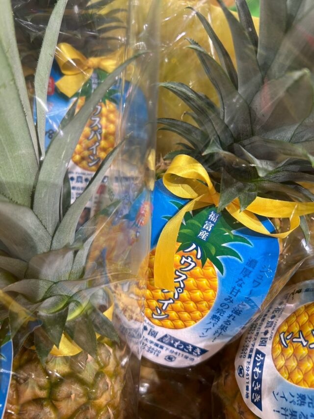 おはようございます☀
9月15日（火）9時オープンしました！

パイナップル🍍
テレビ📺で紹介されました✨
いい香りしてますよ〜🍍

本日2階レストランは
お休みいただいてます🙇‍♀️

※明日9月16日（水）は定休日です🙇‍♀️

本日もご来店お待ちしてます😊

#道の駅しろいし