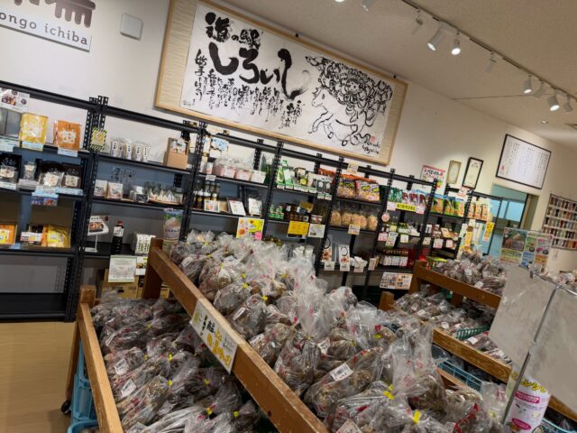 おはようございます😊
9月18日（金）9時オープンしました！

白岩地区のレモン🍋（璃の雫）が収穫できました✨
ぜひご賞味ください😊

本日もご来店お待ちしてます😊

#道の駅しろいし