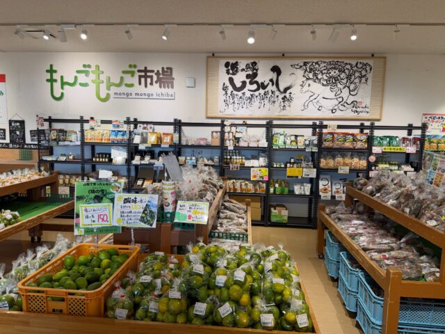 おはようございます😊
9月25日（金）9時オープンしました！

白石町内、玉葱🧅の播種や新米の刈り取り時期になり、お野菜の出荷が少なめです。

本日もご来店お待ちしてます😊

#道の駅しろいし