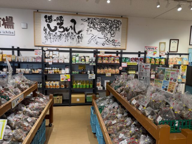 おはようございます😊
10月9日（金）9時オープンしました！

葉物野菜🥬が少しずつ増えてきました✨

【10月9日は散歩の日】
日付は「て（10）く（9）てく」と読む語呂合わせから。「てくてく」は散歩の時の歩くイメージを想起したもの。
散歩とは、気晴らしや健康のために、てくてく・ぶらぶらと歩くことである。

朝晩は過ごしやすくなりましたので、てくてくお散歩の時間もいいですね😊🚶

本日もご来店お待ちしてます😊

#道の駅しろいし