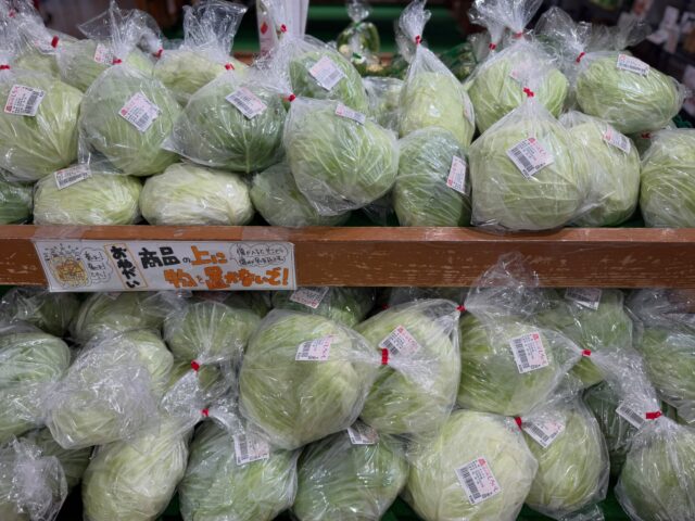 おはようございます😊
10月13日（火）9時オープンしました！

葉物野菜🥬🥦が
たくさん出荷されます✨

ぶどうは昨日で終了しました🙇‍♀️
ありがとうございました🍇😊

※2階レストランはお休みです

本日もご来店お待ちしてます😊

#道の駅しろいし