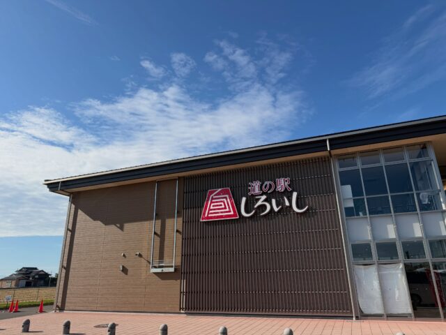 おはようございます☀
10月11日（日）9時オープンしました！
いいお天気☀️お出かけ日和り🚗💨

店頭では524'coffeeさん、べんがらさん出店されてます😊レイさん🥐も出店予定です😊

朝から多くのお客様にご来店いただきありがとうございます😊

本日もご来店お待ちしております😊

#道の駅しろいし