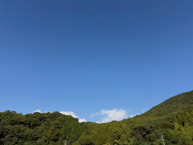 おはようございます☀
10月14日（水）9時オープンしました！

雨あがりの山は⛰️綺麗です✨

蓮根、緑の袋（ホクホク）が少しずつ増えてきました😊
季節が変わればお野菜、果物が変わり
売り場の雰囲気も変化します✨

本日もご来店お待ちしてます😊

#道の駅しろいし